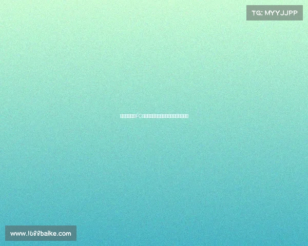 上海申花迎战FC劲旅绿茵赛场激情碰撞期待精彩足球盛宴